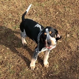 Meet your Posher, Rodrigo